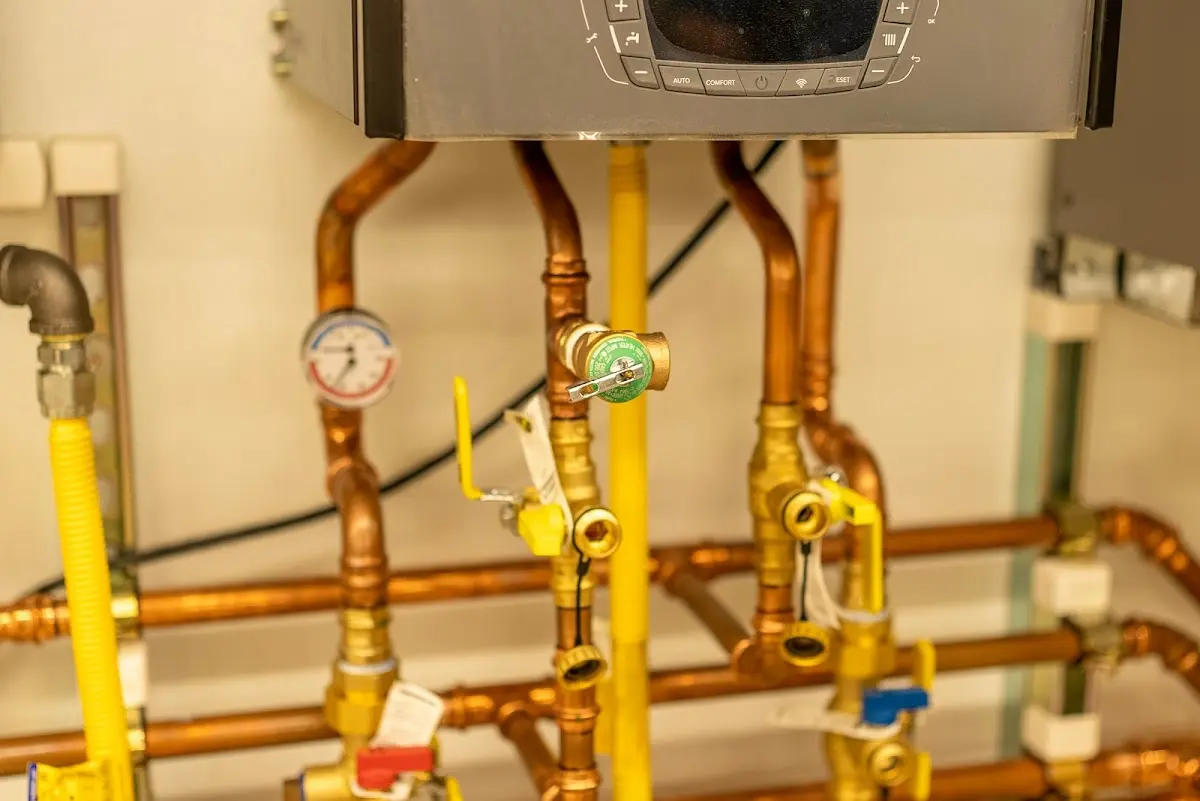 Licensed technician providing Sump Pump Repair for a homeowner in Wheaton